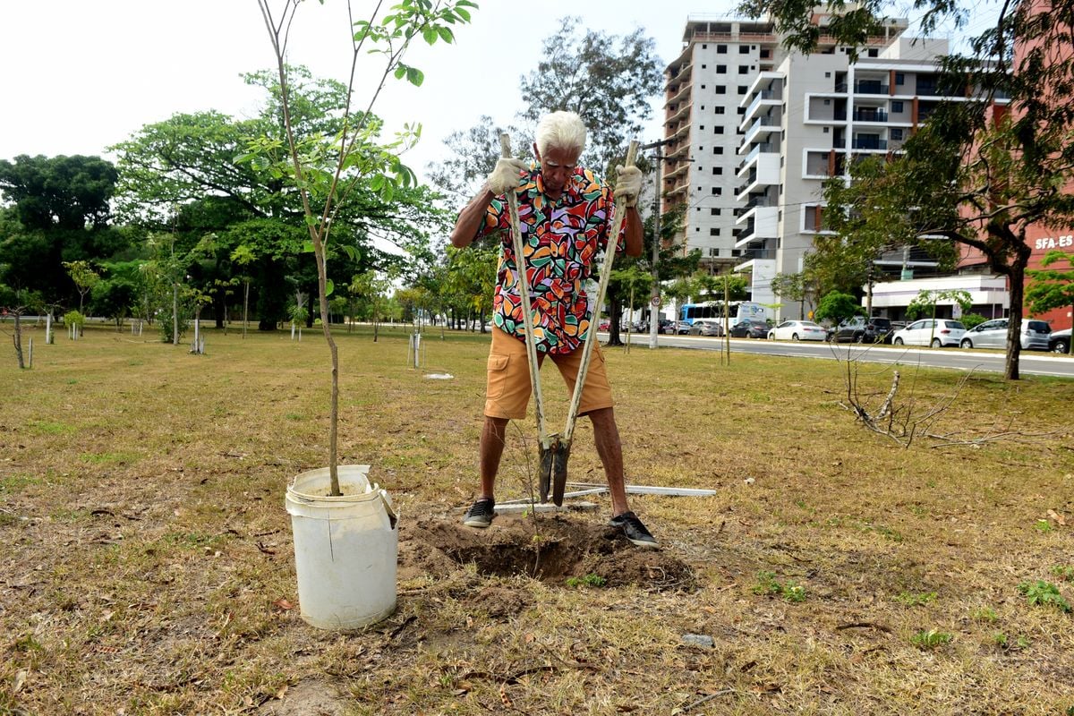 Antônio dos Santos planta árvores em Vitória há 13 anos