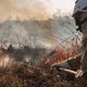 Imagem - Amazônia e Pantanal têm piores queimadas das últimas duas décadas, alerta agência europeia