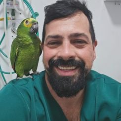 “Foi uma para colocação de placa e outra para a sua retirada. Tatá é um paciente desafiador, tanto na parte da aplicação da anestesia, por ser difícil de realizar a intubação, quanto da anatomia. Tudo precisou ser direcionado para a espécie e o tamanho do animal”