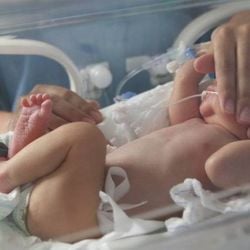 Em vez de estimular o organismo a produzir seus próprios anticorpos, como ocorre com as principais vacinas vacinas, a pessoa já recebe esse anticorpo pronto