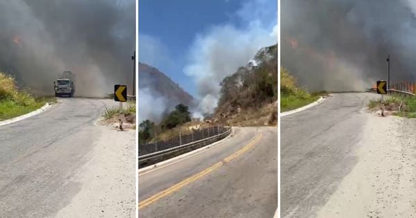 Bombeiros foram acionados por volta das 11h30 e seguiam no combate até a noite; chamas atingiram plantações e uma área de bambuzal