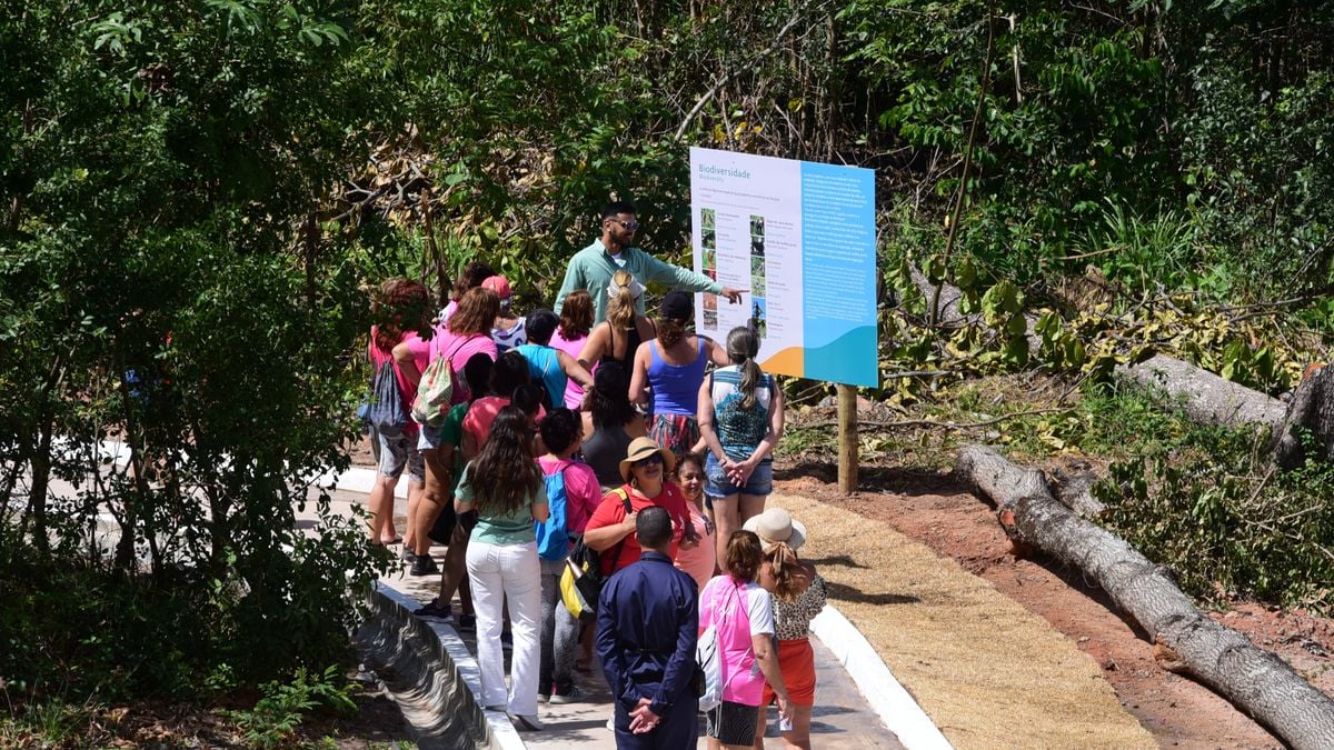 Parque Costeiro na Praia de  Camburi por Ricardo Medeiros