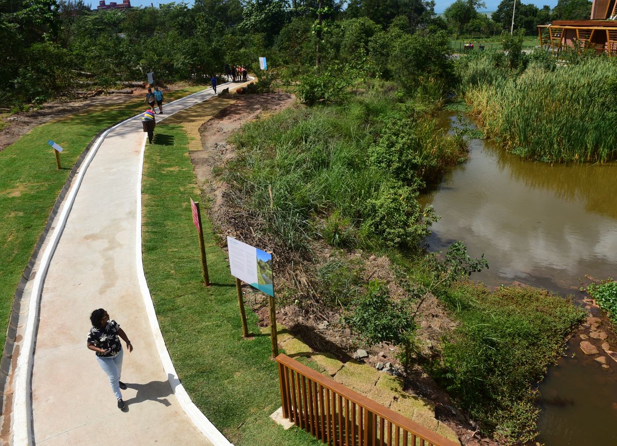 Construção do Parque Costeiro incluiu resgate da vegetação por Ricardo Medeiros