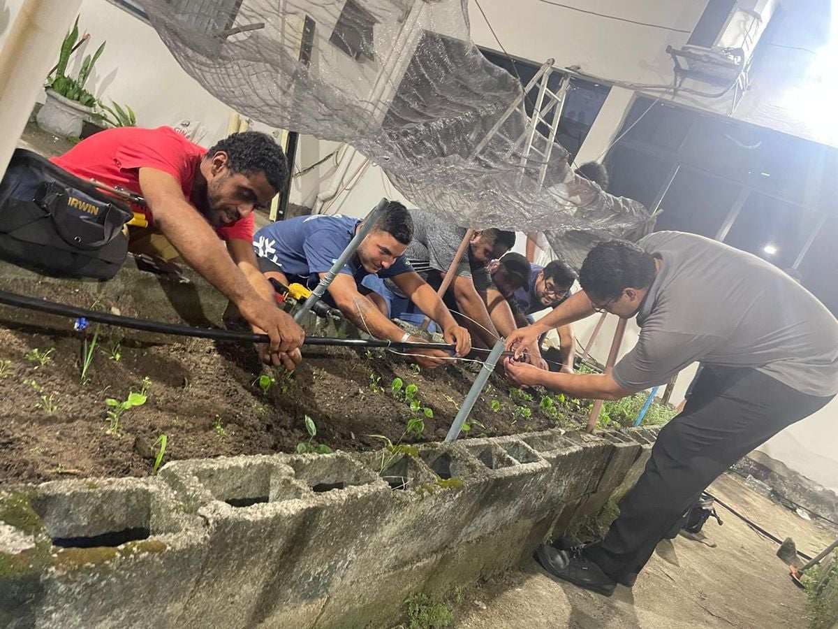 undefined por Divulgação: Núcleo de Extensão da Faculdade Novo Milênio