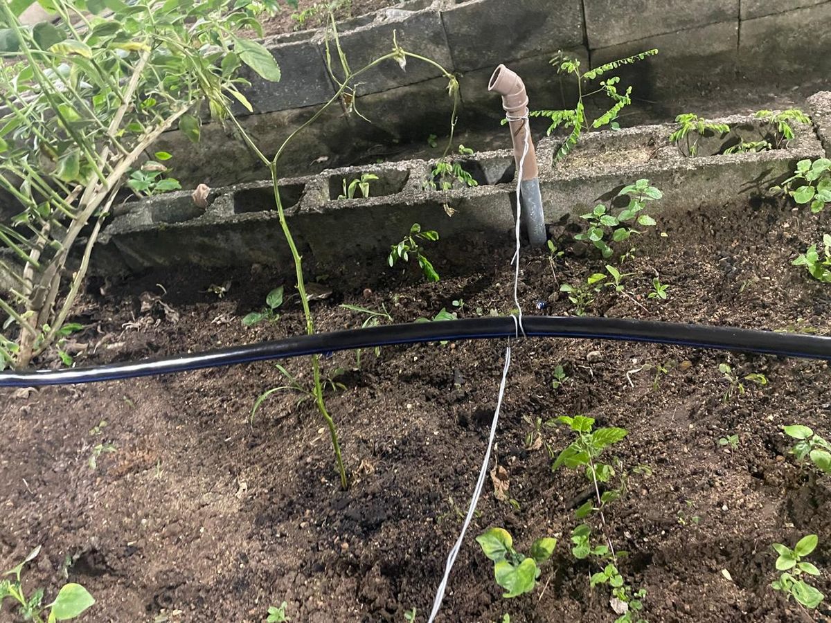 undefined por Divulgação:Faculdade Novo Milênio