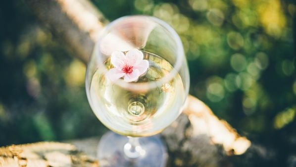 Conhecidos pela potência de seus aromas, rótulos de uvas como Gewürstraminer, Torrontés e Moscato combinam com a estação das flores