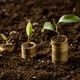 Imagem - ES prevê R$ 3,7 bi em investimentos e 'orçamento climático' para 2025