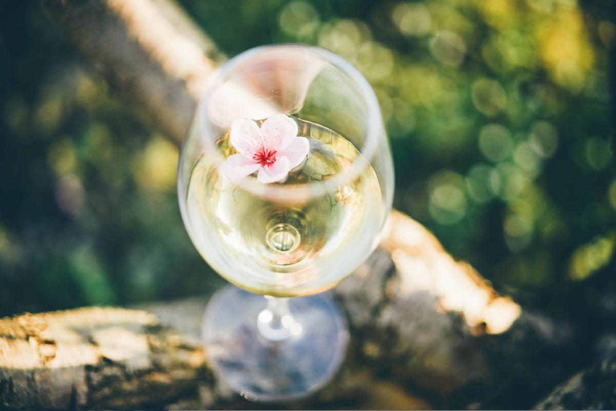 Conheça 5 vinhos aromáticos para brindar na primavera