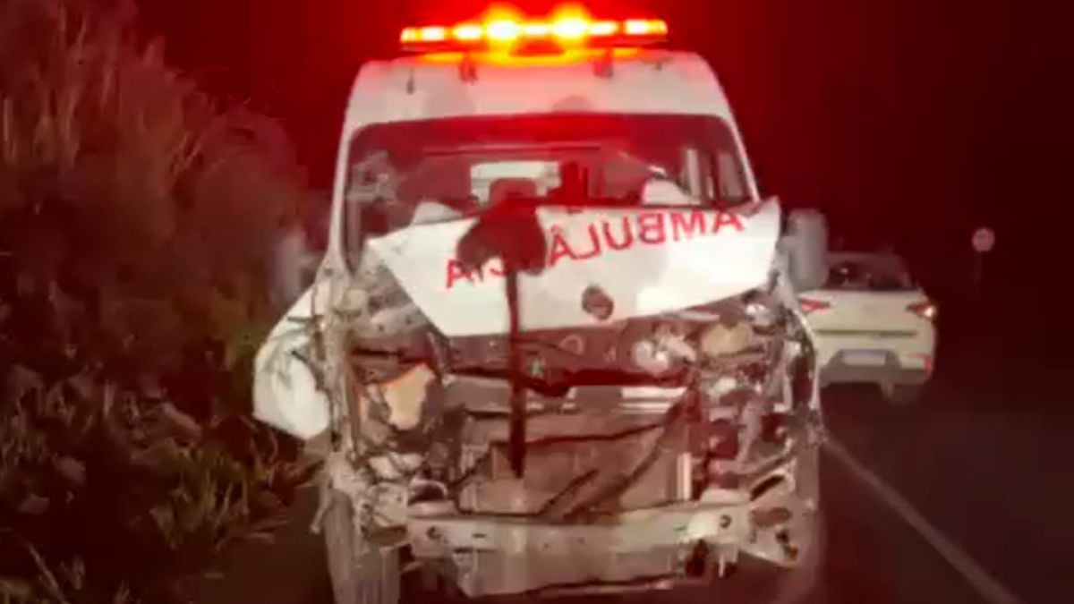 Ambulância de Conceição do Castelo atropela bois em rodovia do Sul do ES 