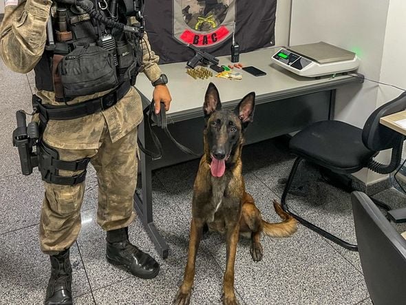 PM apreende adolescente com pistola e munições em morro de Vitória por Divulgação | Polícia Militar
