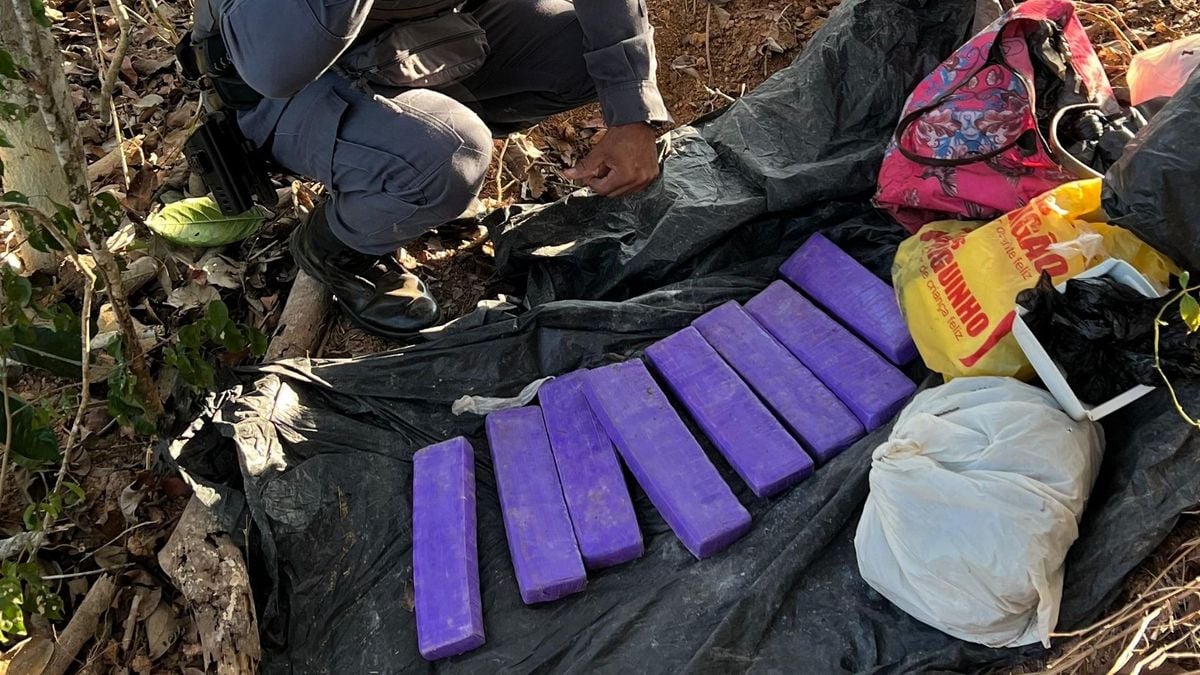 Material encontrado em área de mata de São Domingos do Norte