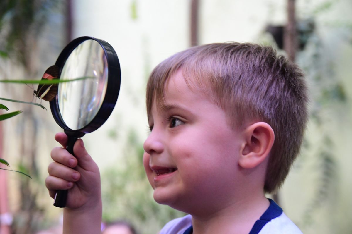 O Centro Educacional Leonardo da Vinci tem testado a realização de atividades em ambientes externos.