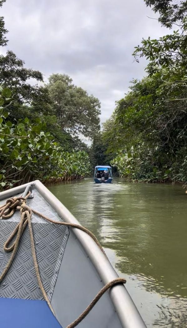 Passeio pelo Rio Doce, em Regência