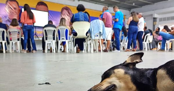 Os caciques políticos pés-frios, uma família de volta ao poder depois de 24 anos, a lição de uma eleitora centenária: veja tudo nesta coluna de notas