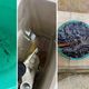Imagem - Moradores de Rio Bananal se queixam de falta de água devido à seca
