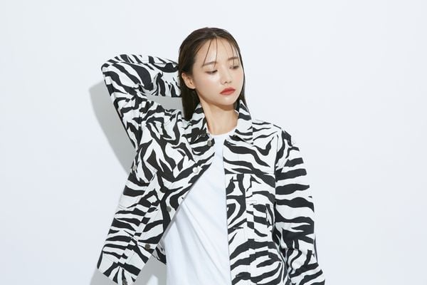 Animal print: zebra