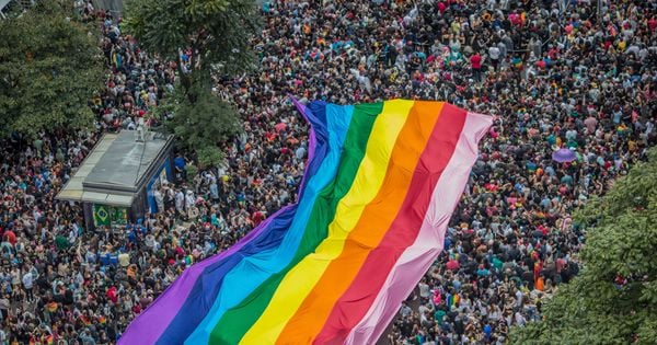 O Espírito Santo elegeu apenas uma pessoa, Açucena (PT), de Cariacica assumidamente lésbica, segundo o VoteLGBT+. 98% dos candidatos informaram ser heterossexuais