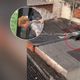 Imagem - Homem vai furtar estacionamento e é flagrado em telhado ao fugir em Vitória