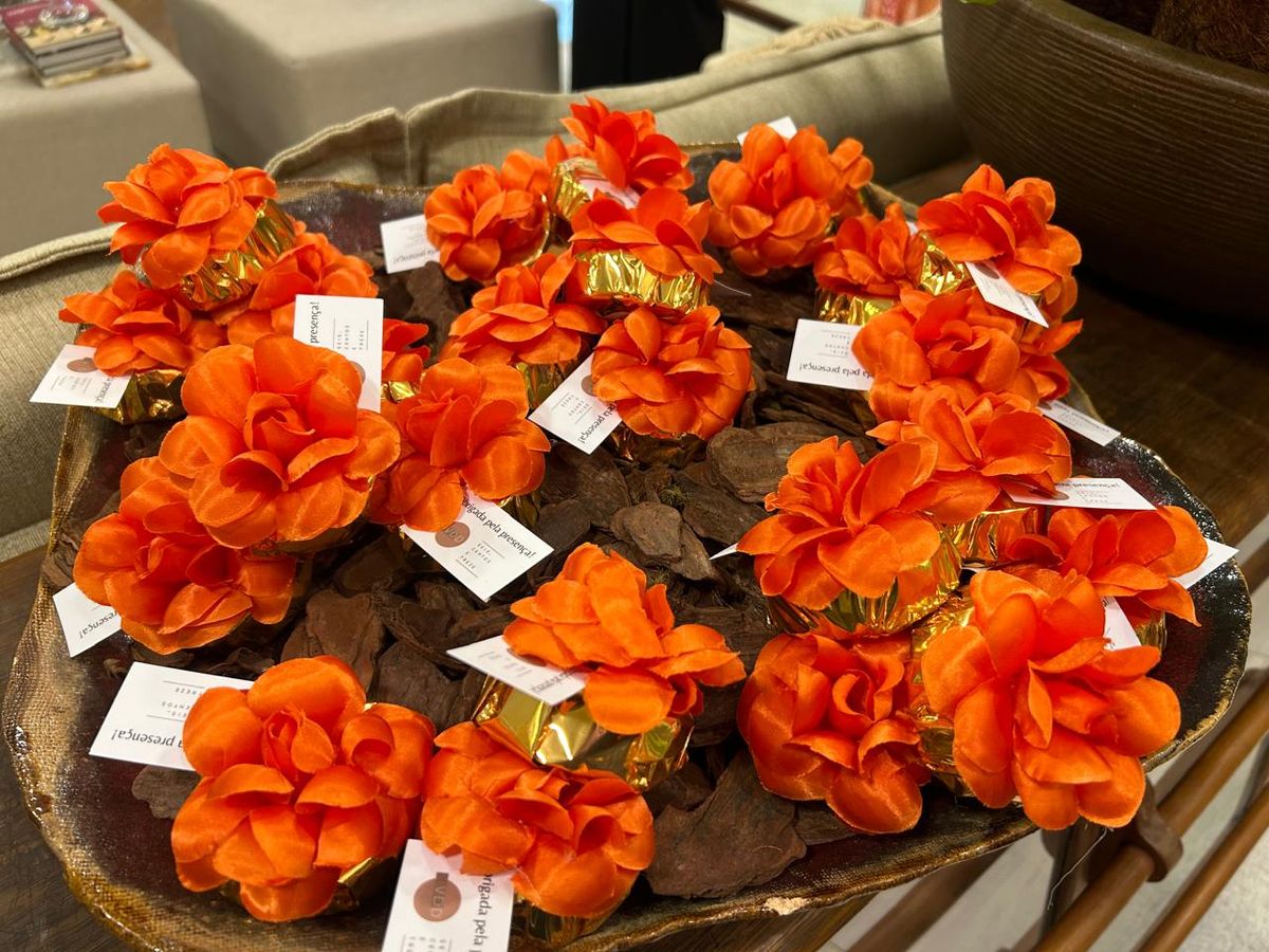 Lançamento da Vila Dora Daher