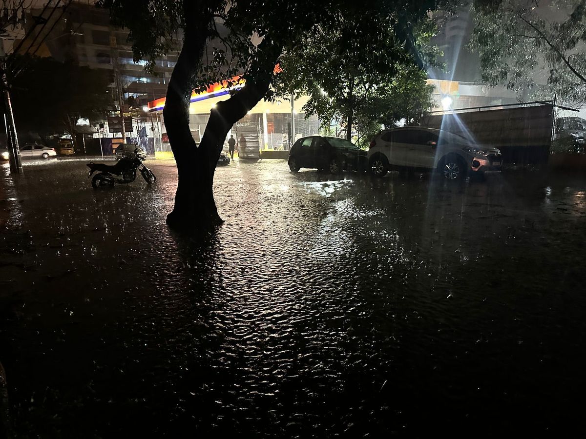 Chuvas tem causado estragos em diversos bairros de São Paulo