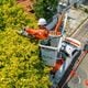Imagem - Falta de energia elétrica em SP: a lição de casa do Espírito Santo
