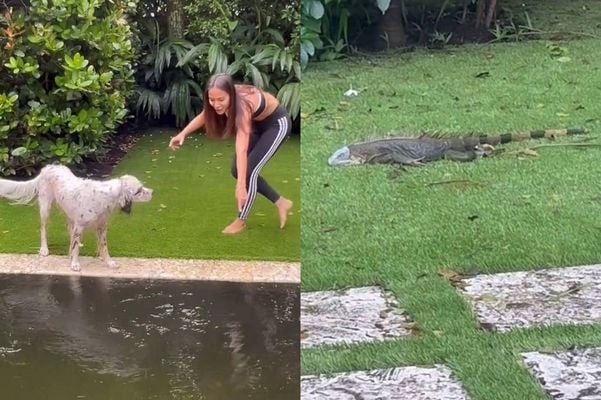 Anitta encontra réptil em piscina