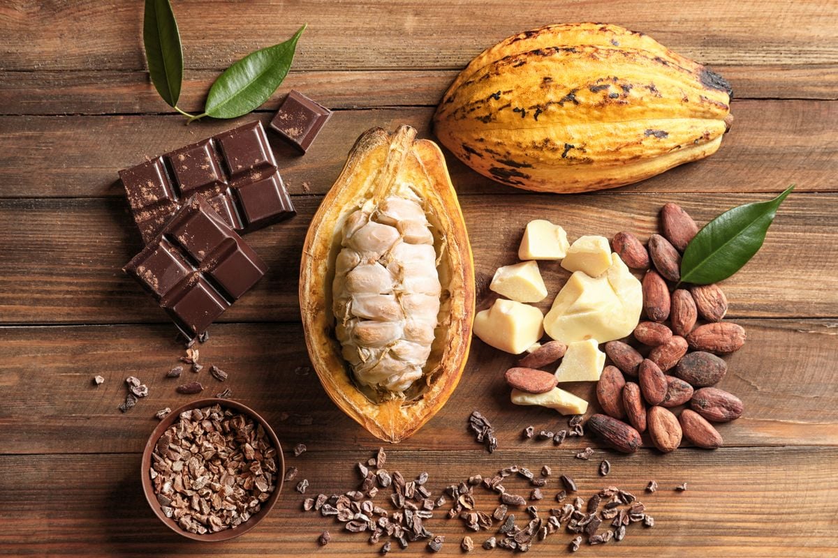 Cacau, chocolate e amêndoas de cacau