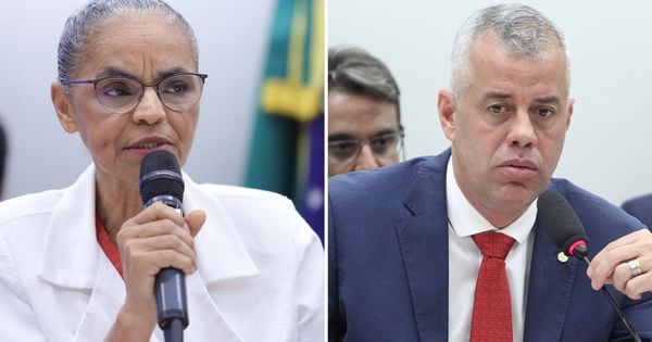 Evair de Melo (PP) sugeriu que a ministra havia sido "adestrada" para comparecer a reunião da Comissão de Agricultura, nesta quarta (16), e foi rebatido por ela