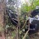 Imagem - Carro capota, cai de ribanceira e 4 pessoas ficam feridas em Cachoeiro