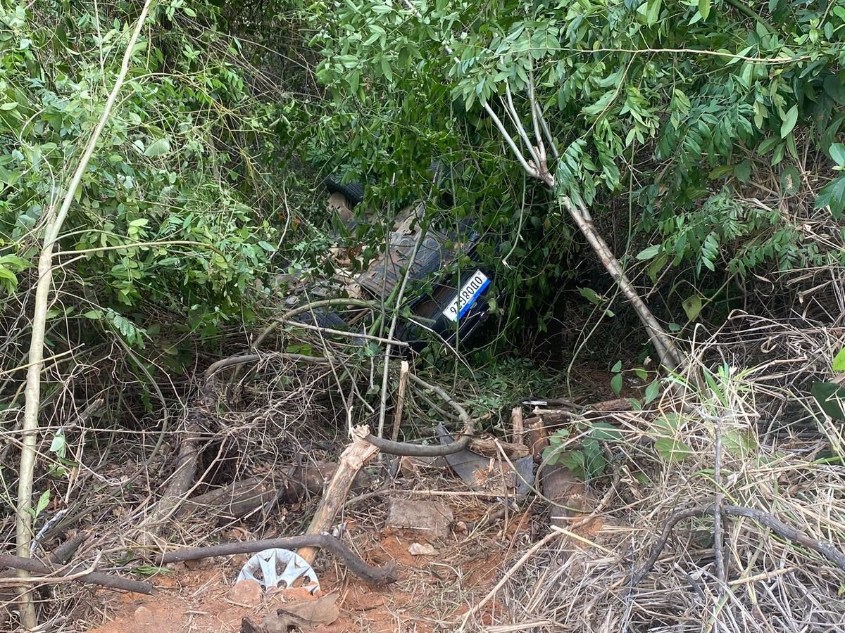 Carro ficou a cerca de 3 metros da pista, preso a vegetação