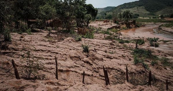 Processo contra a BHP - que operava barragem junto com a Vale em desastre de 2015 - pede o que seria a maior indenização ambiental da história do Reino Unido