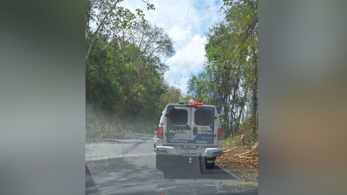 Homem de 33 anos é preso suspeito de matar cachorro enforcado em Marechal Floriano.