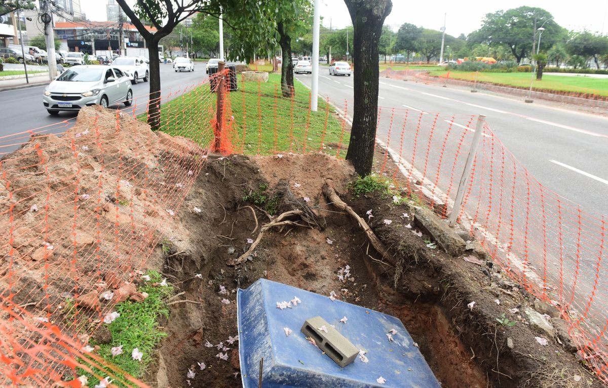 Obras no canteiro central da Avenida Américo Buaiz, Vitória por Ricardo Medeiros