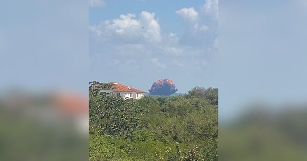 Caça da Força Aérea Brasileira caiu no município de Parnamirim, na Grande Natal; piloto foi resgatado por equipe de salvamento