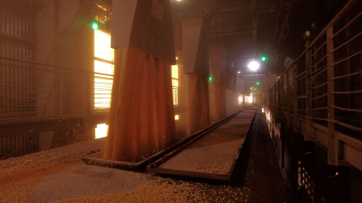 Haverá um grande incremento da movimentação ferroviária de cargas, com destaque para fluxos de exportação de milho, soja e farelo de soja