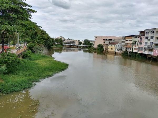 Rio Cricaré, em Nova Venécia