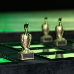 Iniciativas de impacto ambiental, social e econômico disputam reconhecimento estadual após vencerem etapas regionais; votação popular está aberta no site de A Gazeta