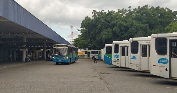 Eleitores não vão precisar pagar passagem nas linhas alimentadoras, que ligam os bairros aos terminais, no próximo domingo (27)