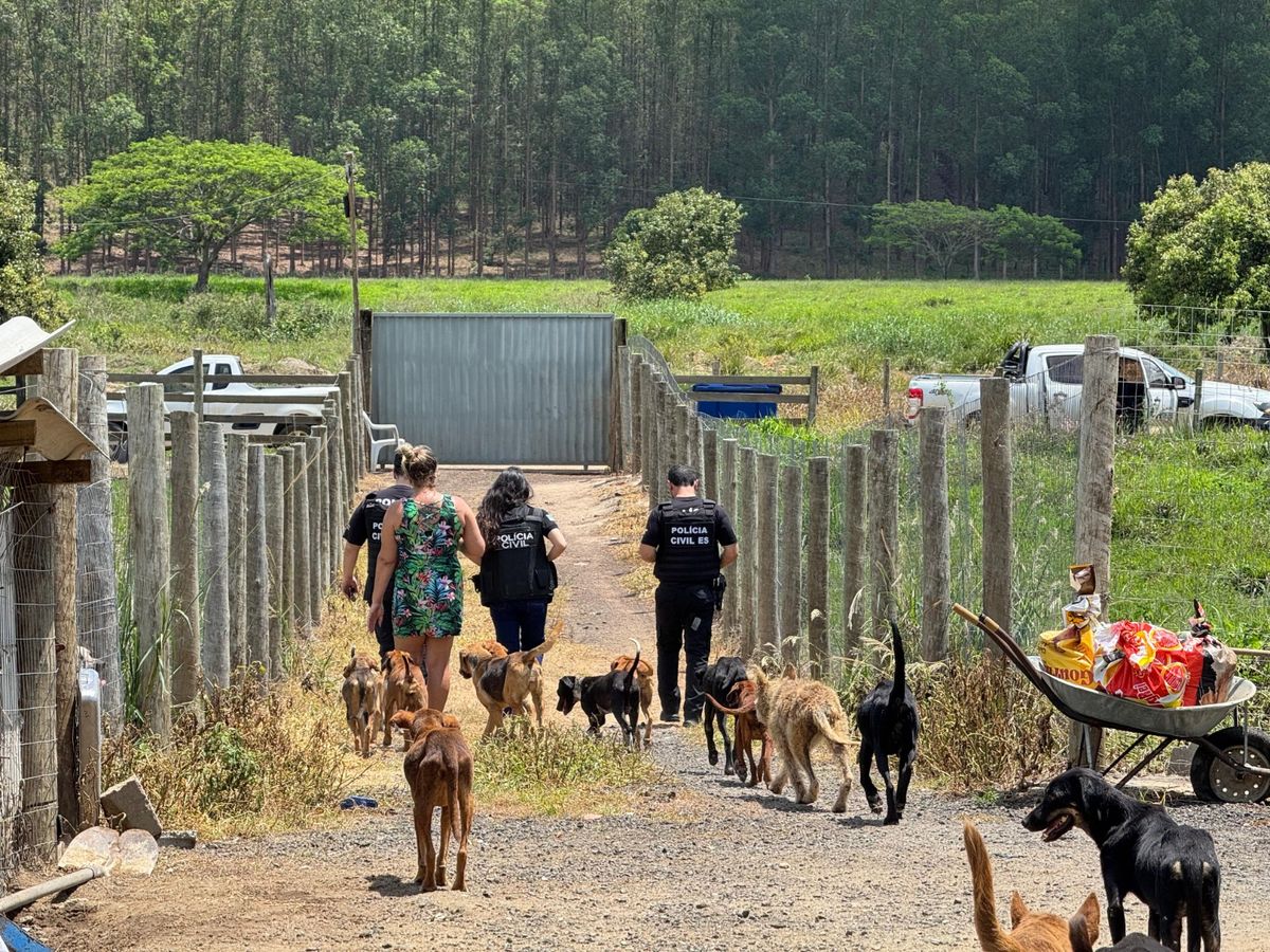 Mulher é presa por suspeita de maus tratos a animais em Aracruz por Divulgação | Polícia Civil