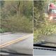 Imagem - Temporal e ventos fortes causam estragos em Santa Leopoldina; veja vídeo