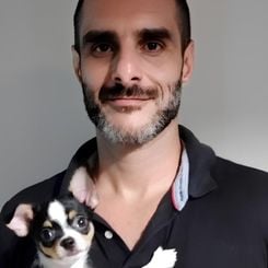 “É durante essa fase que o cãozinho aprende a interagir com pessoas, outros animais, o meio urbano e os diferentes ambientes. A socialização expõe o filhote a uma variedade de estímulos de forma segura, positiva, gradual e equilibrada"