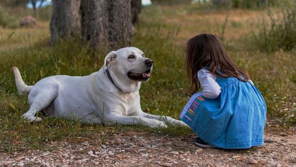 Mesmo nos casos de animais que convivem há muitos anos com a família, a segurança das crianças deve ser monitorada