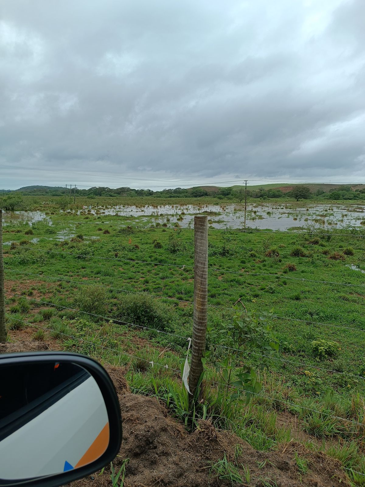 Árvores caíram por Defesa Civil de Anchieta 