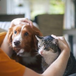 A intenção da ação é coletar dados de novos interessados e atualizar as informações das pessoas que já são cadastradas; prazo começou nesta quinta (26) e vai até o dia 10 de abril