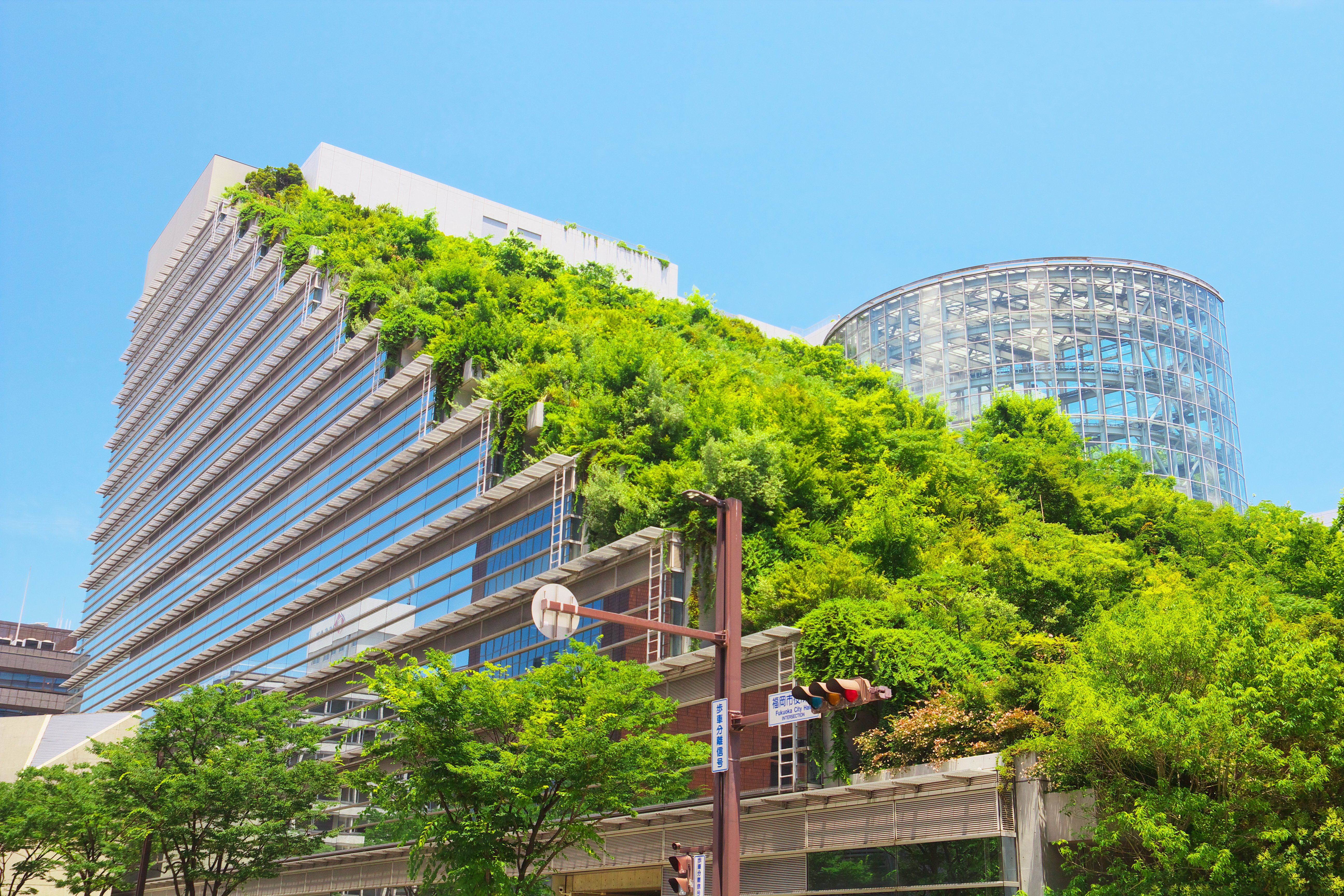 Exemplo de telhado verde em Fukuoka, Japão