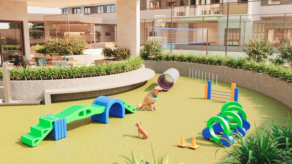 Home Plus tem espaço pensado para facilitar o dia a dia dos tutores por Divulgação