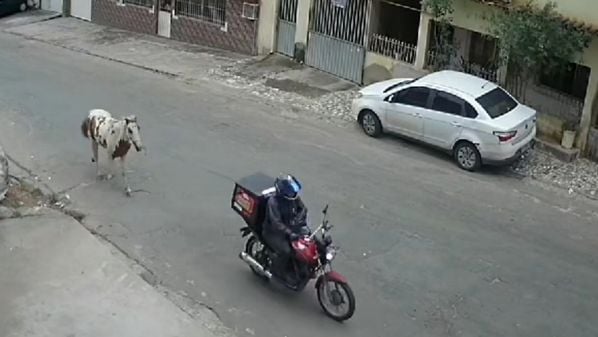 Animal, que havia sido resgatado pela proprietária e recebeu nome de Fábio Assunção, foi levado por um motociclista, que puxou o cavalo usando uma corda