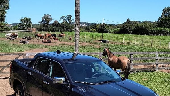 A força do motor 2.0 Multijet turbodiesel de 170
cavalos de potência é suficiente para todas as situações do dia a dia, seja na cidade, seja no rodar macio
na estrada