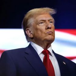 Presidente norte-americano diz que nenhum outro teria condições de aplicar as tarifas e ele quer dinheiro entrando nos EUA