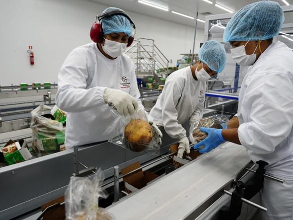 Cacau Show de Linhares é reinaugurada e passa a produzir panetones por Fernando Madeira